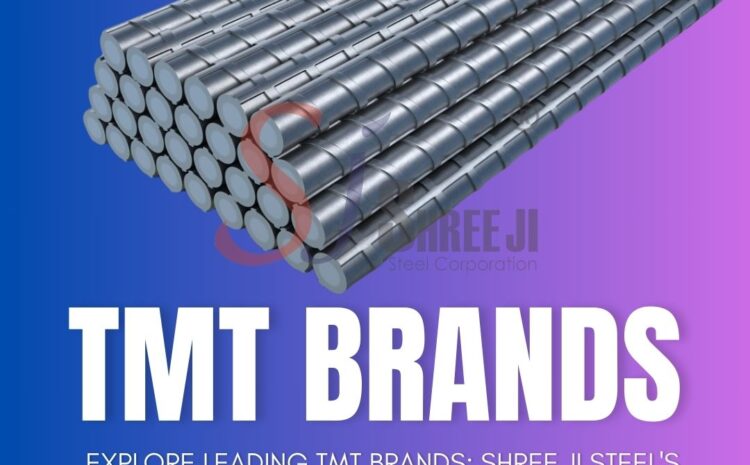 tmt brands in india